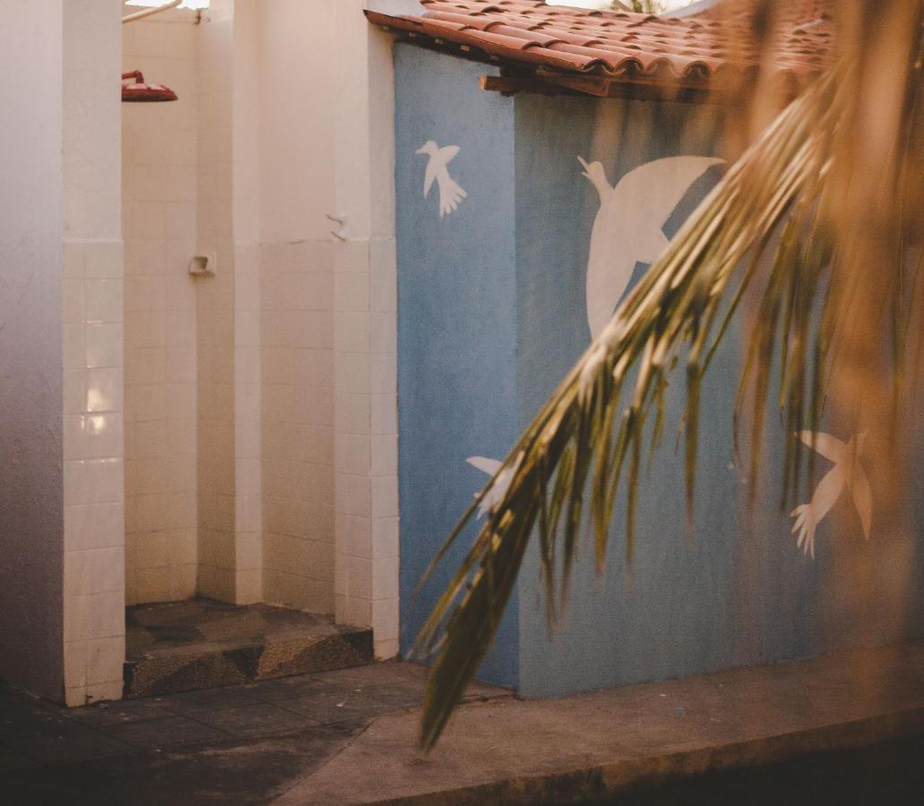 4 Quartos Ao Lado Da Praia Do Patacho Villa Pôrto de Pedras Eksteriør bilde